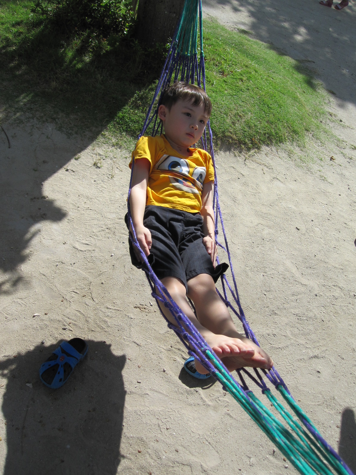 �������Ȃ��n�����b�N�ɏ�鑧�q